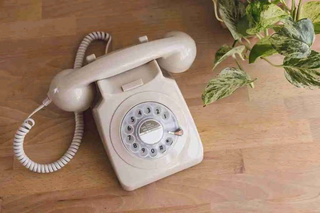 A old school ivory phone beside a plant on a table
